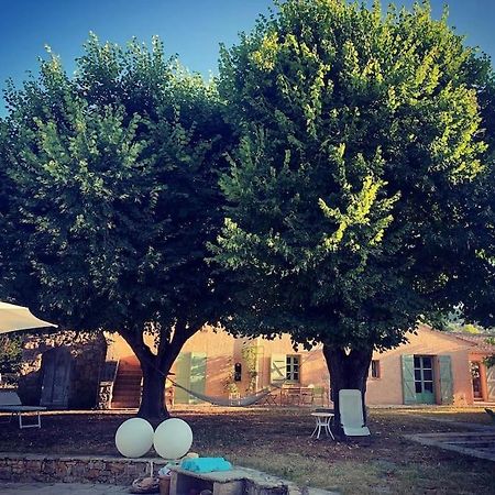 Bastide Provencale De Charme A La Cote D'Azur Villa Callian  Luaran gambar